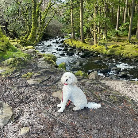 The Iveragh