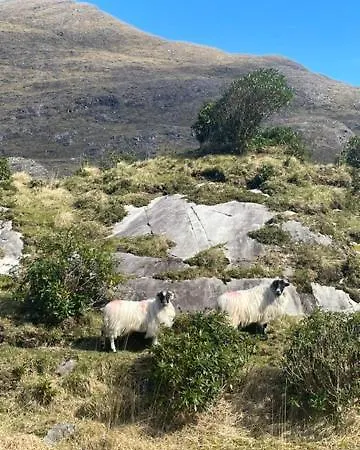The Iveragh *